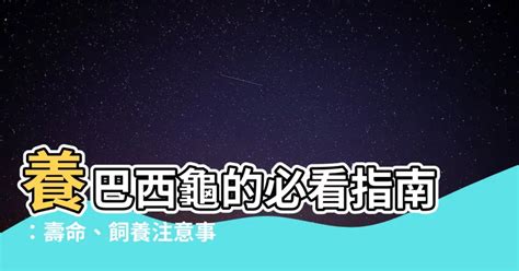 養巴西龜注意事項|【養龜入門】新手養烏龜品種介紹，養烏龜的禁忌、好處&壞處 –